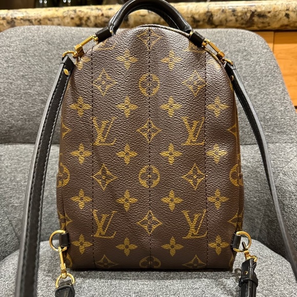 Louis Vuitton Palm Springs mini - Picture 2 of 12